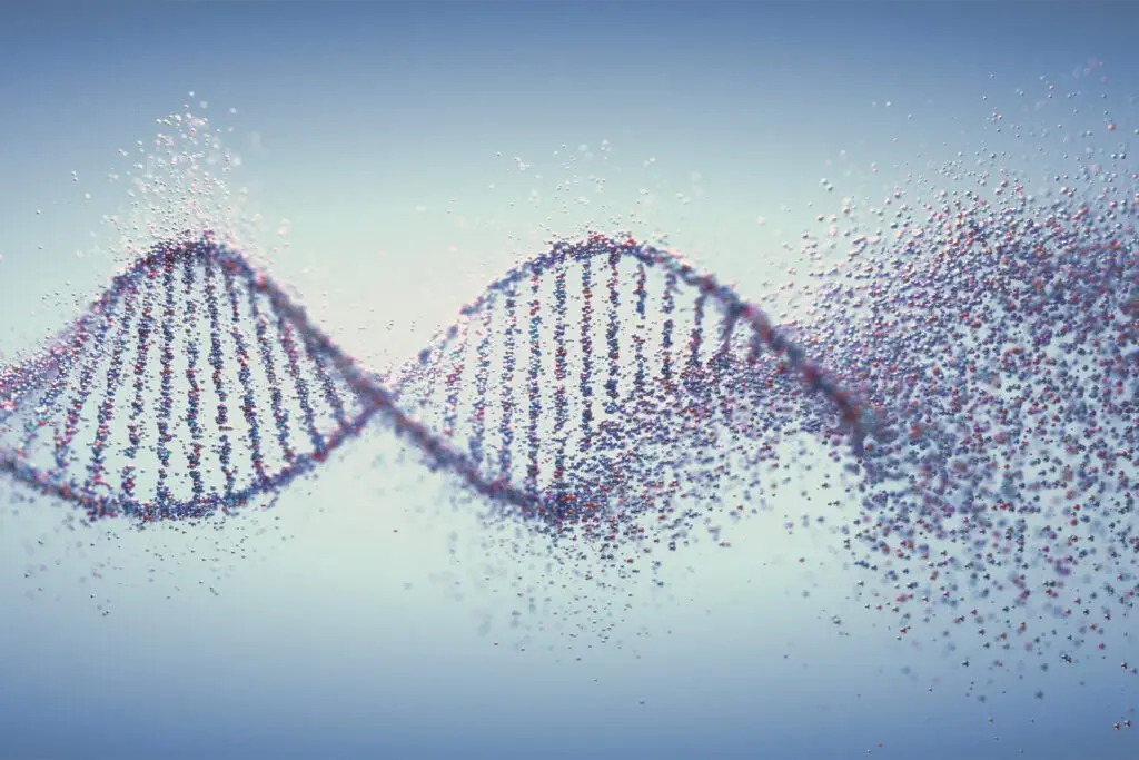 Dna damage