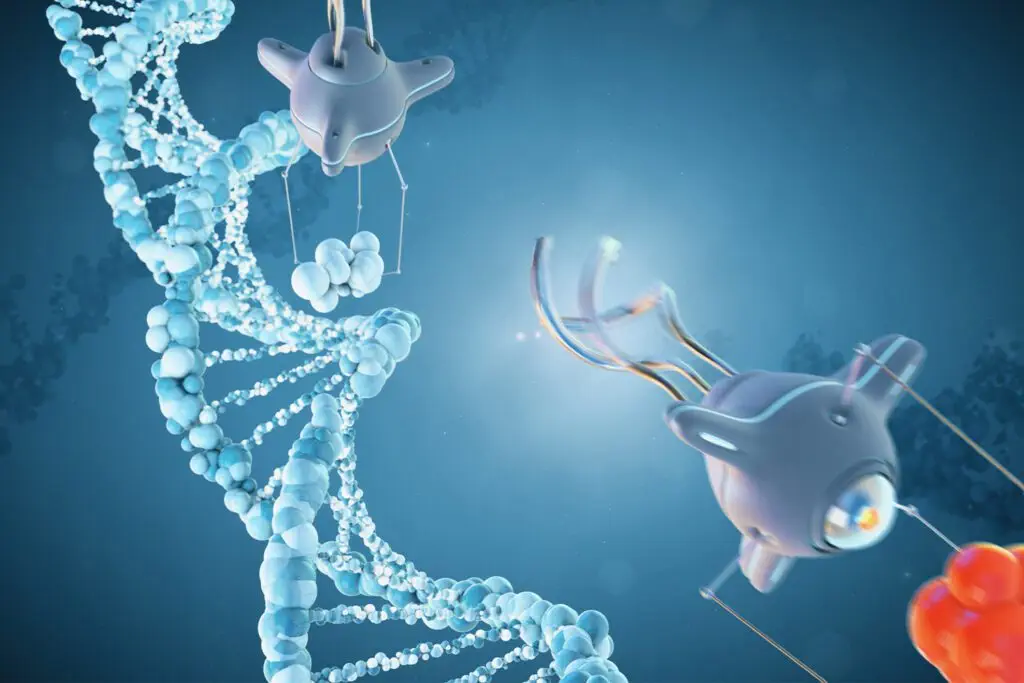 Dna repaid